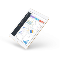 Business Intelligence Business Intelligence