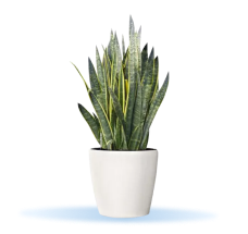 Quan ly tai lieu so right buttom